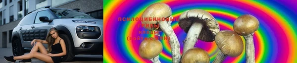 крисы Алексин